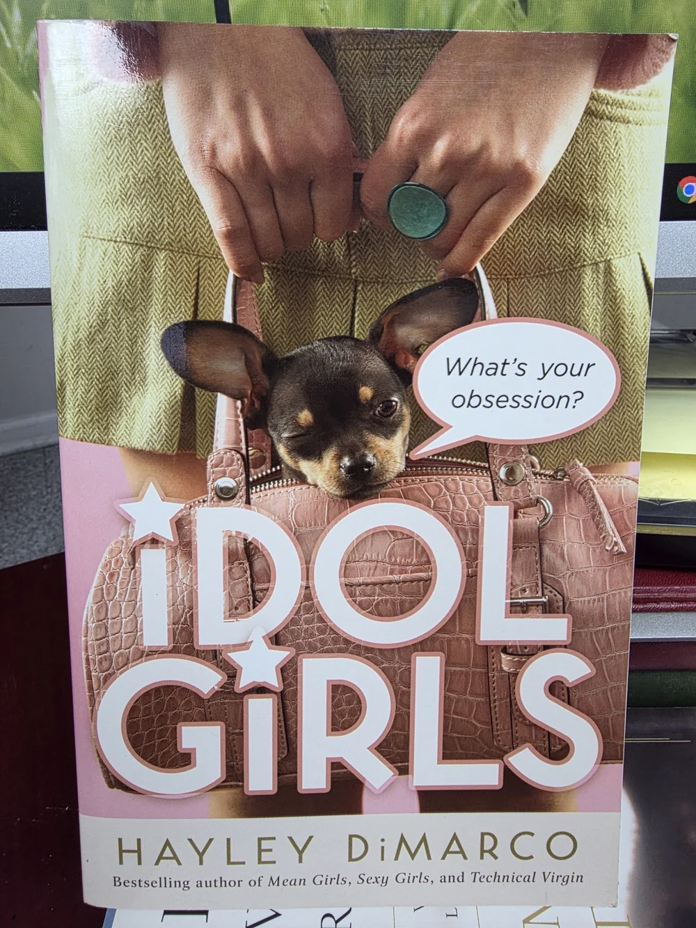 Idol Girls: What's Your Obsession? by Hayley DiMarco - Paperback (Christian Teen